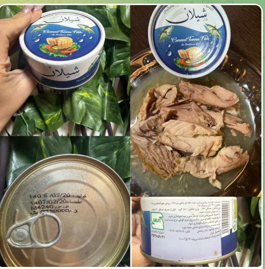 تن ماهی ۱۸۰ گرم هوور پارس شیلان ۲۴ع  ۲۵۴/۰۰م